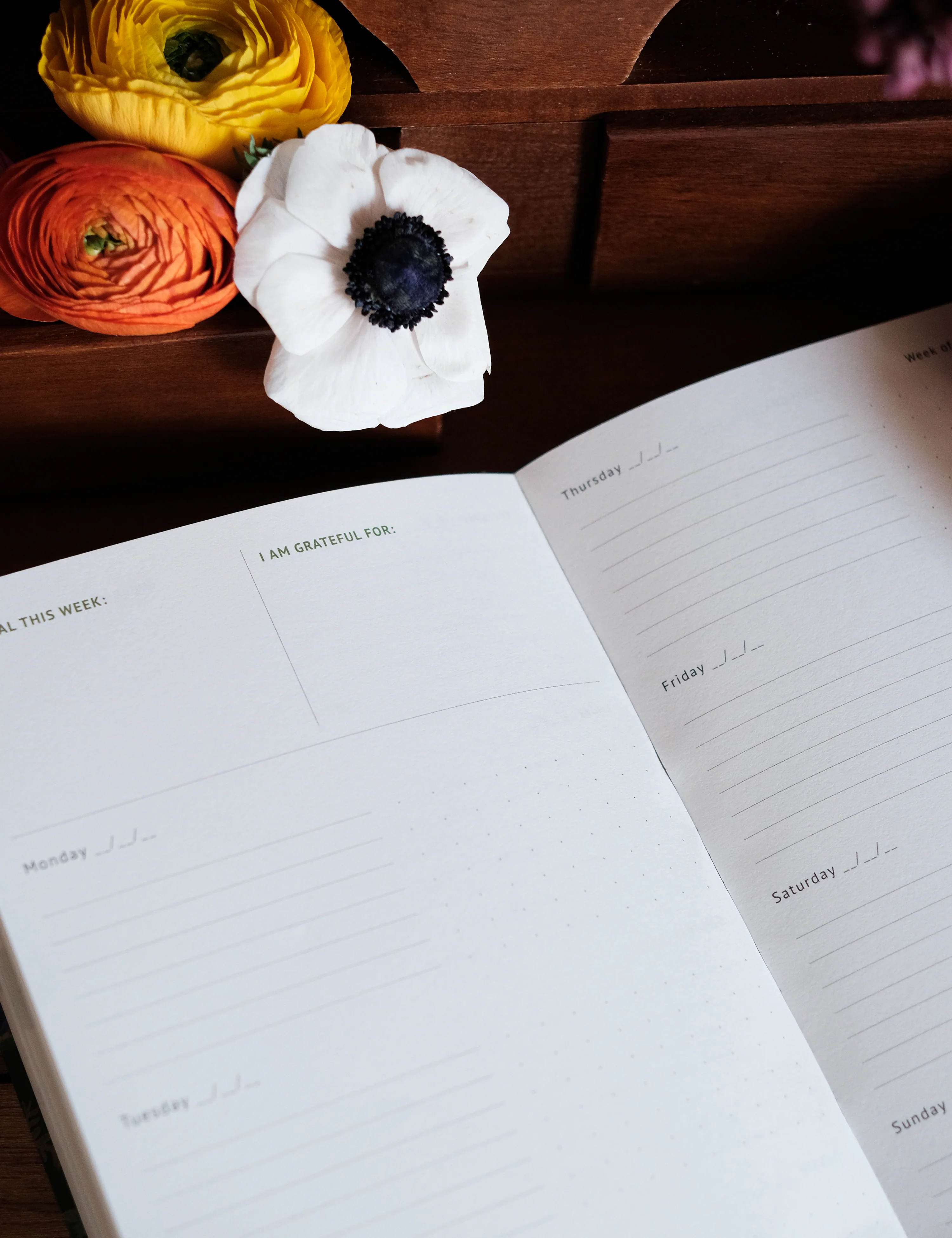 Undated Yearly Planner | Poppy Fields - Image 5