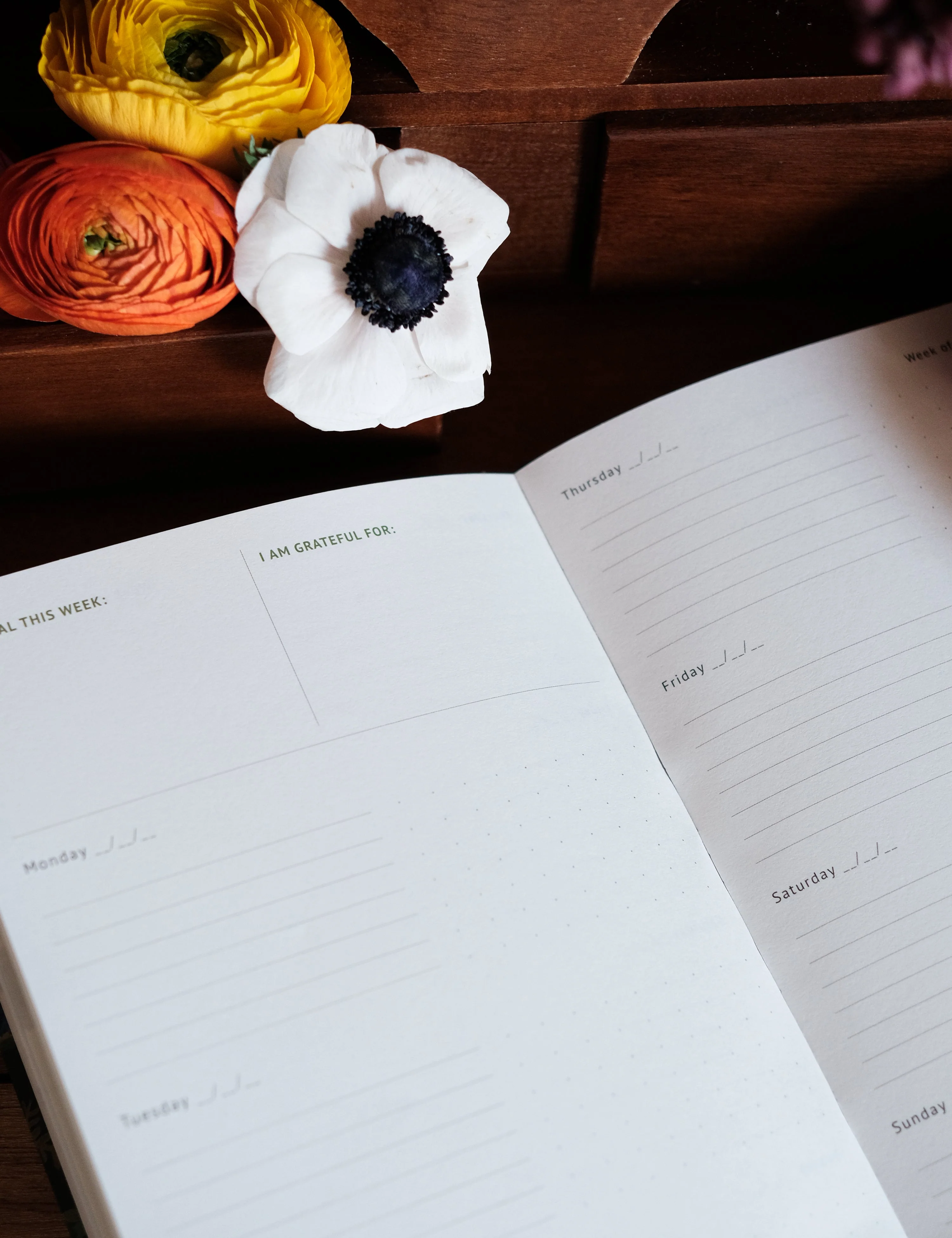 Undated Yearly Planner | Tropic - Image 5